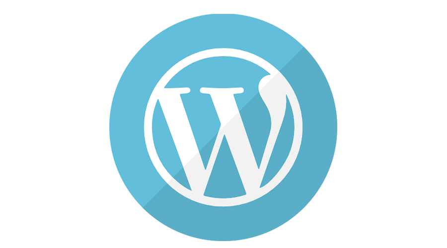 Wordpress Theme/Plugin Updates