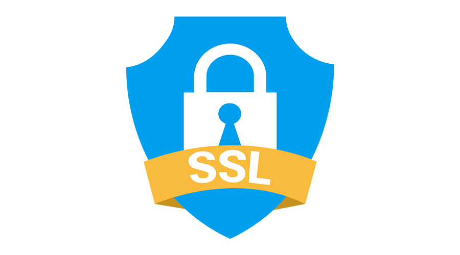 Website Security Check Ups and Updates